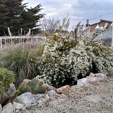 Trulli Colibri' Βίλα Locorotondo Εξωτερικό φωτογραφία